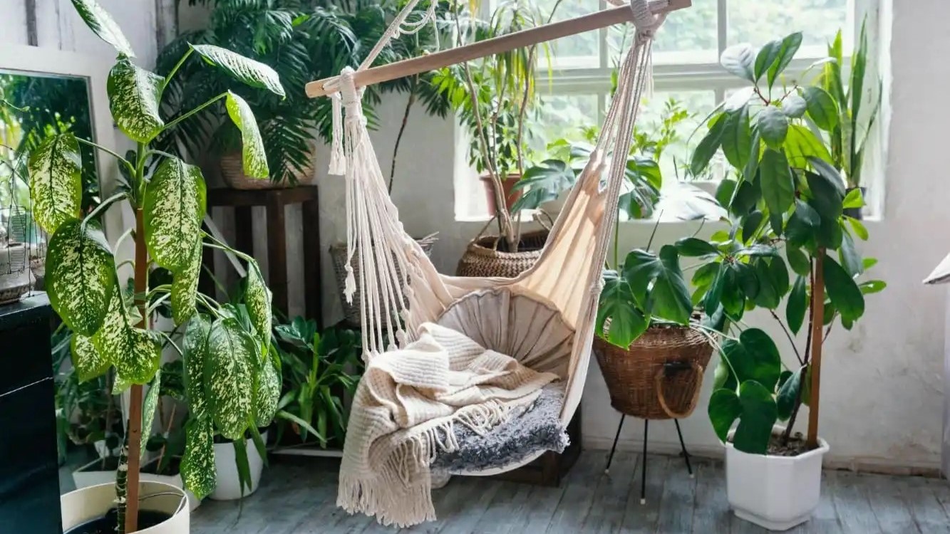 jardin_interior