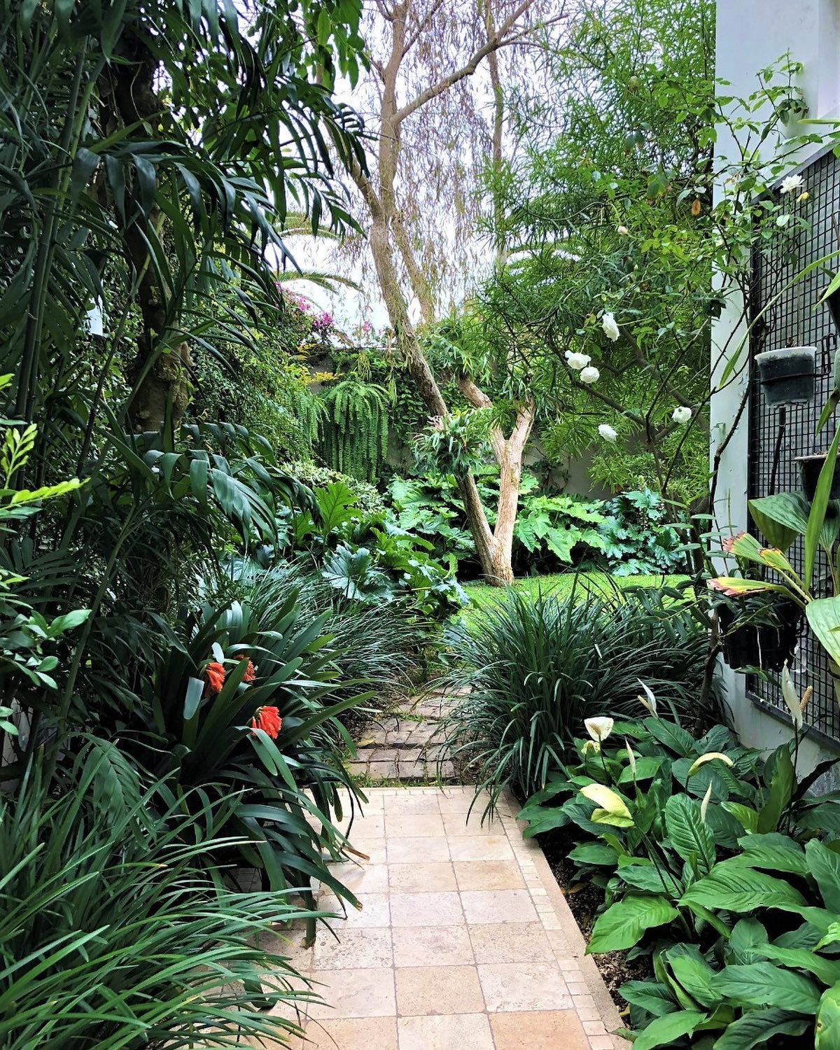 jardin_tropical