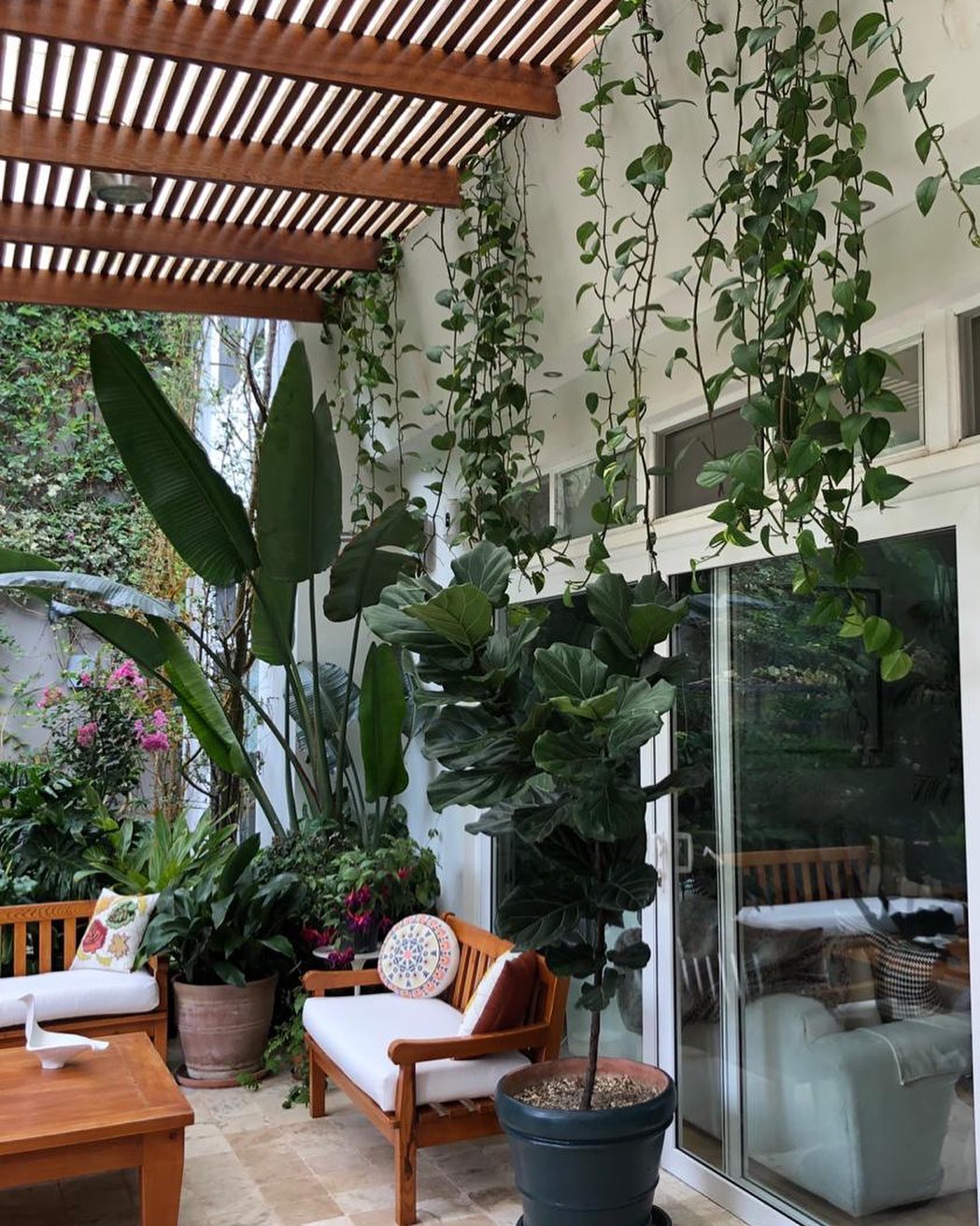 jardin_tropical