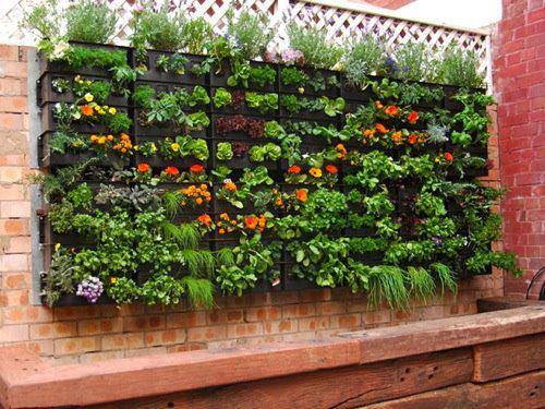 jardin_vertical